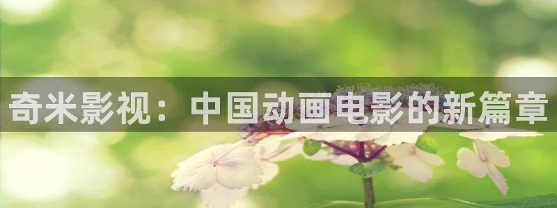 神马影院电影天堂
