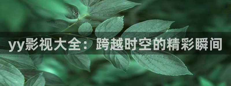 动画电影天堂：yy影视大全：跨越时空的精彩瞬间