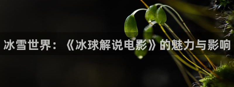 光棍天堂影院手机版免费观看：冰雪世界：《冰球解说电影》的魅力与影响