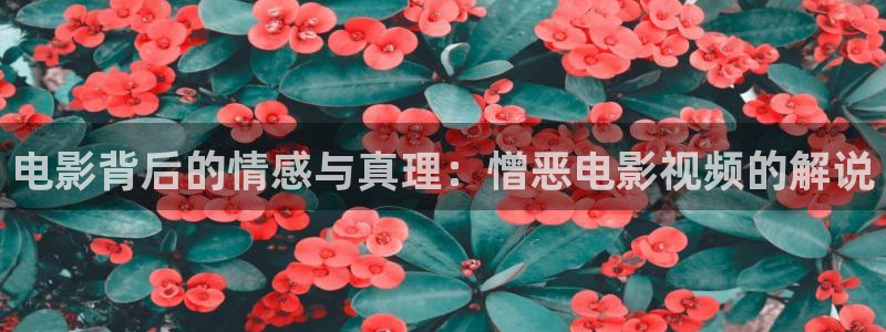 天堂影院私人影院：电影背后的情感与真理：憎恶电影视频的解说