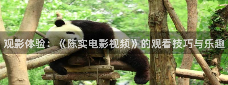 飘花免费影院天堂网