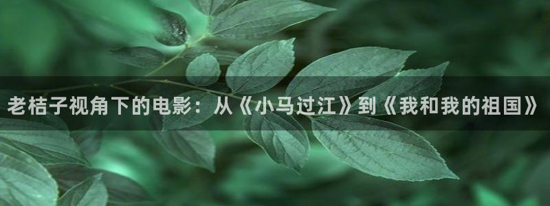 电影天堂网：老桔子视角下的电影：从《小马过江》到《我和我的祖国》