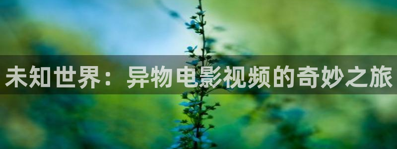 天堂影院免费观看电影电视剧