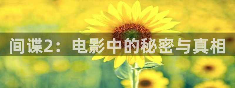 神马影院,天堂网：间谍2：电影中的秘密与真相