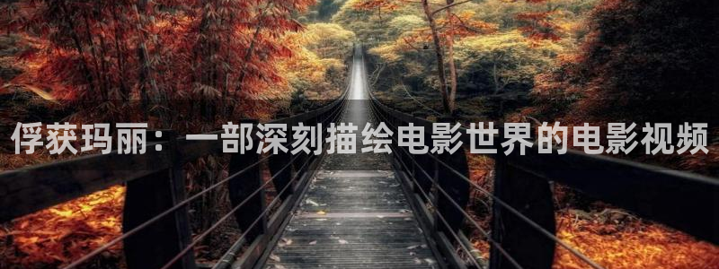 神马电影天堂天：俘获玛丽：一部深刻描绘电影世界的电影视频