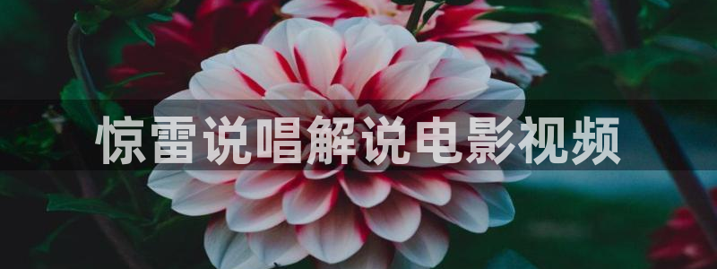 涩漫天堂下载