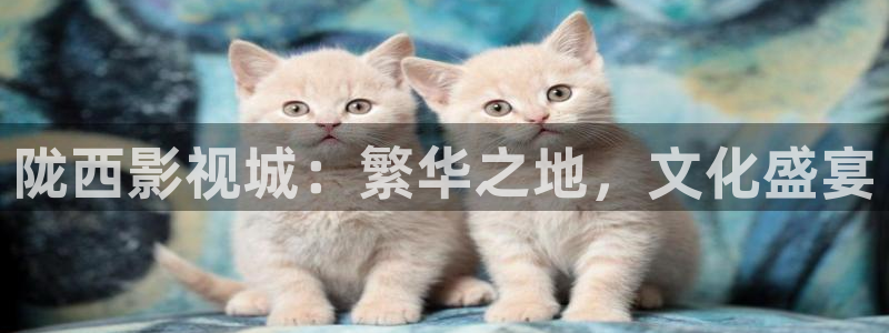 yy6080天堂电影