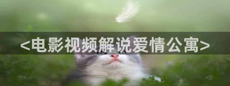 光棍天堂网影院
