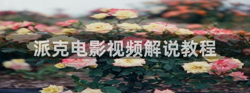 jmcomic漫禁天堂