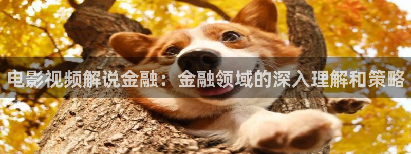 天堂影院电视剧免费观看