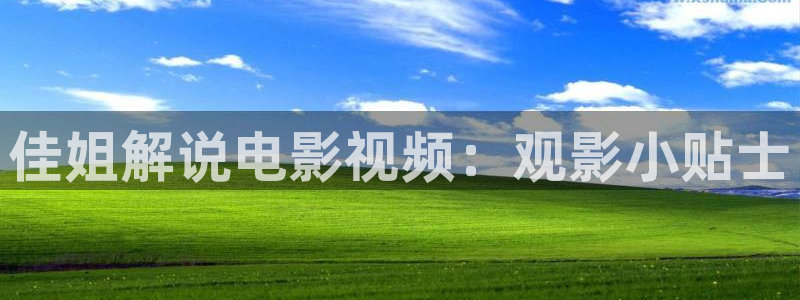 电影天堂网伦理