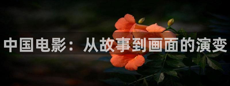 光棍天堂在线观看视频全集