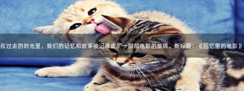 国产av电影天堂