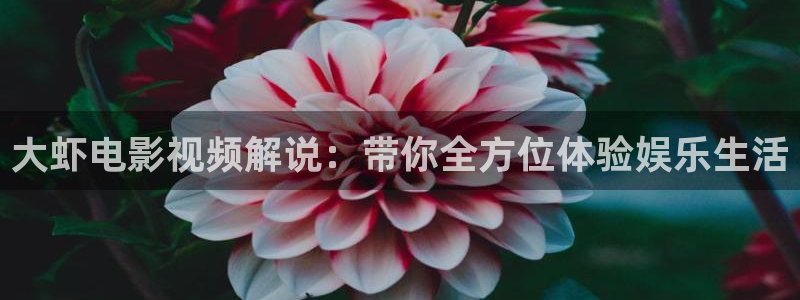 久久天堂精品视频