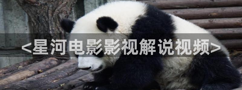 污漫天堂