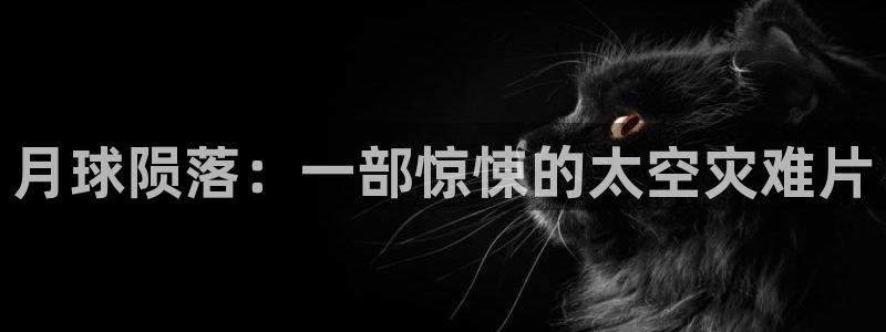 动画片天堂