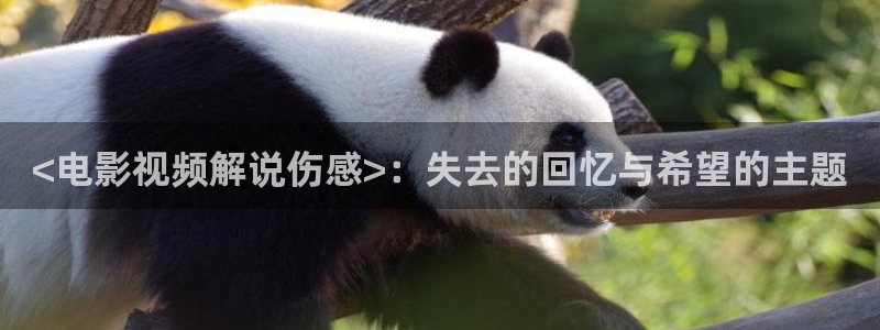 天堂影院在线电影观看