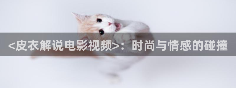 天堂神马电影网