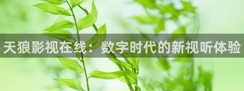 天堂影院电视剧免费观看下载