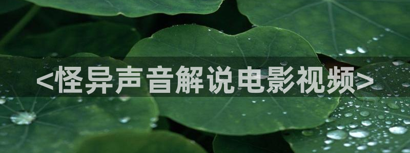 色漫天堂免费版