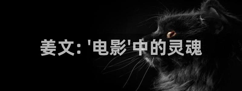 天堂网神马影院