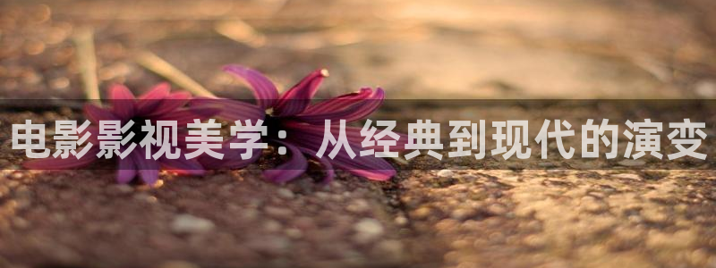 静漫天堂官网