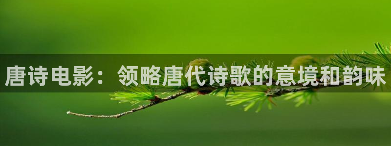 影视天堂在线观看