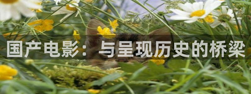 人人艹人人干人人莫|国产天堂