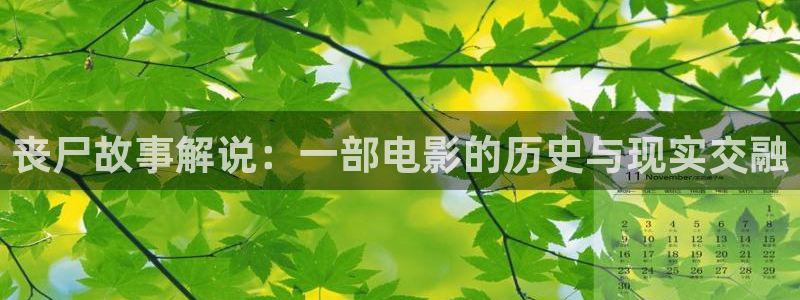 深夜天堂视频在线观看