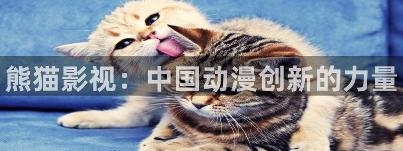 好似天堂秋霞影院