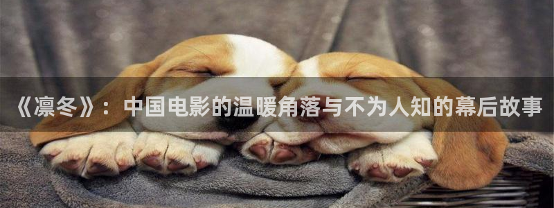 av天堂电影在线观看不卡
