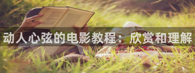 在线影院91天堂