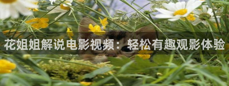 午夜电影天堂网
