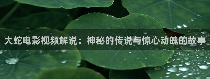 男人天堂第七影院