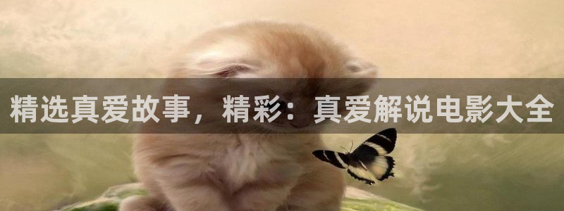 午夜天堂av在线