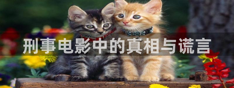 秋霞在线观看电影天堂网