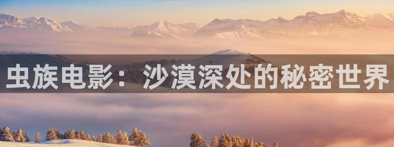 光棍天堂在线播放免费