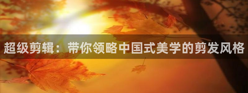 天堂行动影视