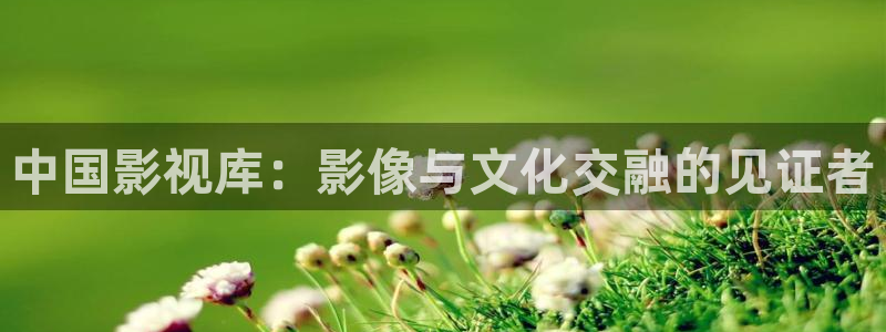 天堂影院免费在线观看电视剧