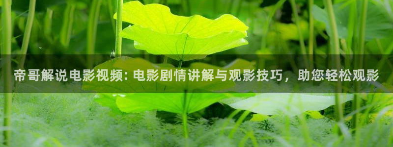 29天堂电影院在线观看