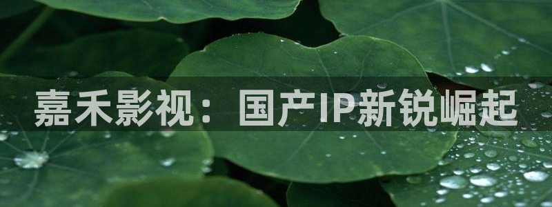 电影天堂飘雪：嘉禾影视：国产IP新锐崛起